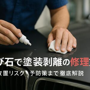 29 飛び石 塗装剥がれ