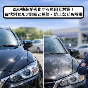 24 車 塗装 劣化