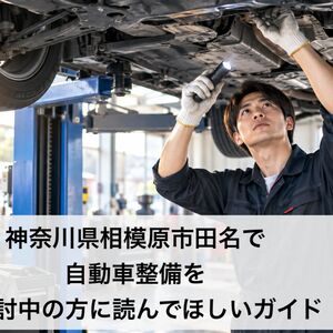 ChatGPT Image 2026年9月8日 11_50_18